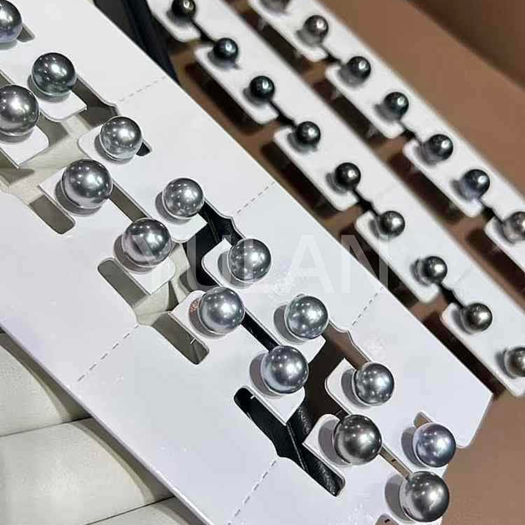 黒蝶真珠 ピアス プラチナグレー (JR-ER-0033)