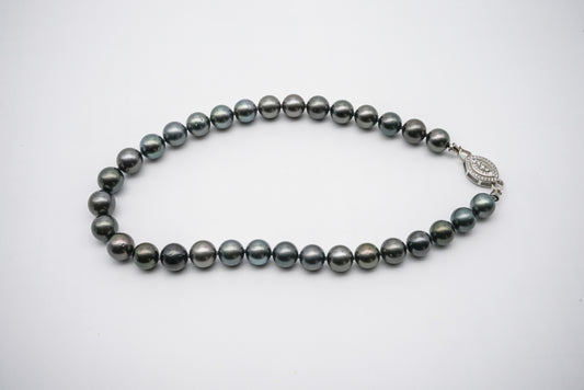 ネックレス 黒蝶真珠 ブラック 12.0mm~13.5mm S925 (JR-NL-0028)