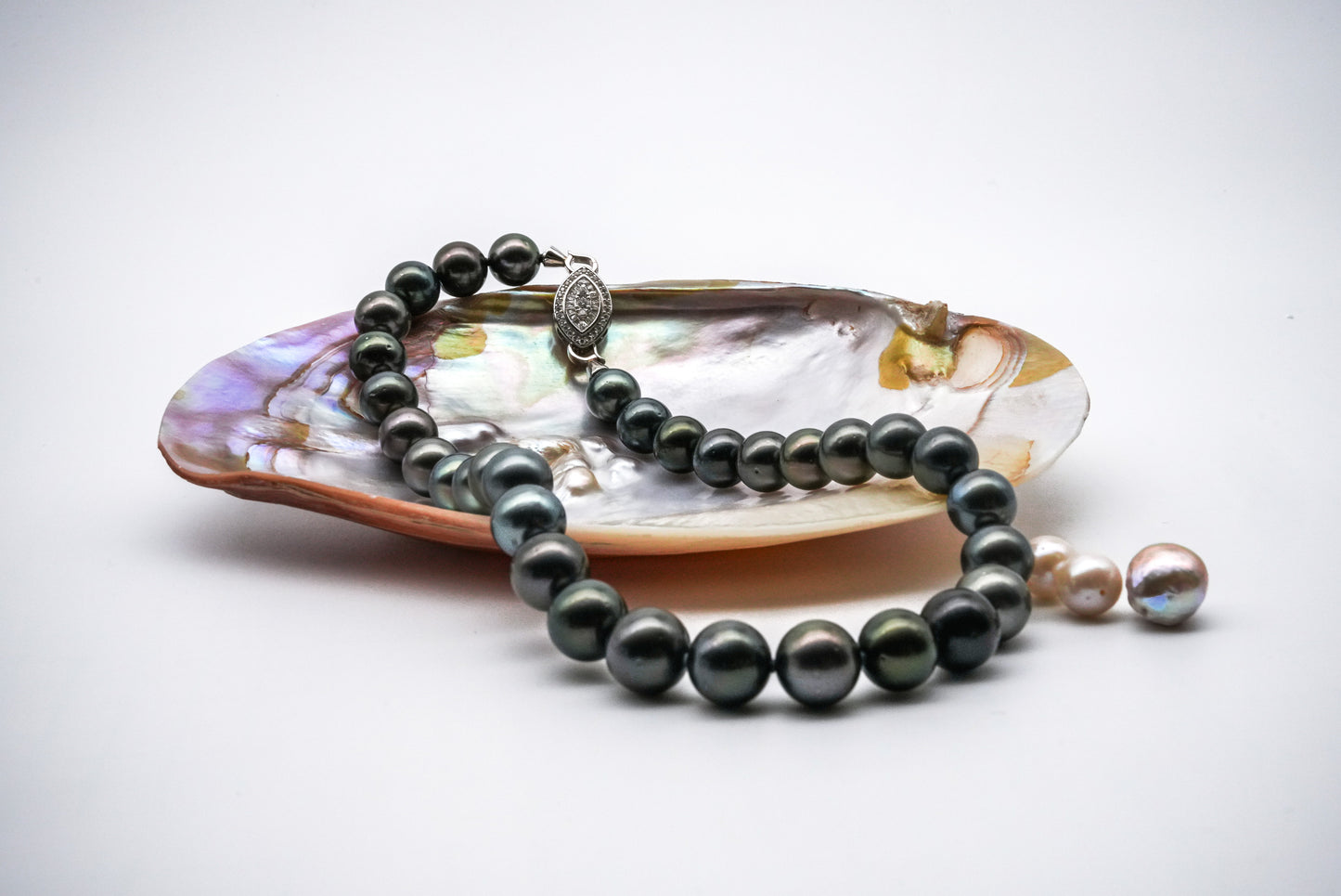 (JR-NL-0028) 黒蝶真珠 ネックレス ブラック 12.0mm~13.5mm