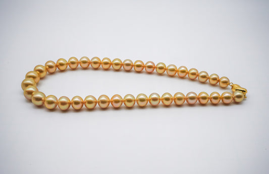 ネックレス 白蝶真珠 ゴールド 10.0mm~13.0mm S925 (JR-NL-0029)