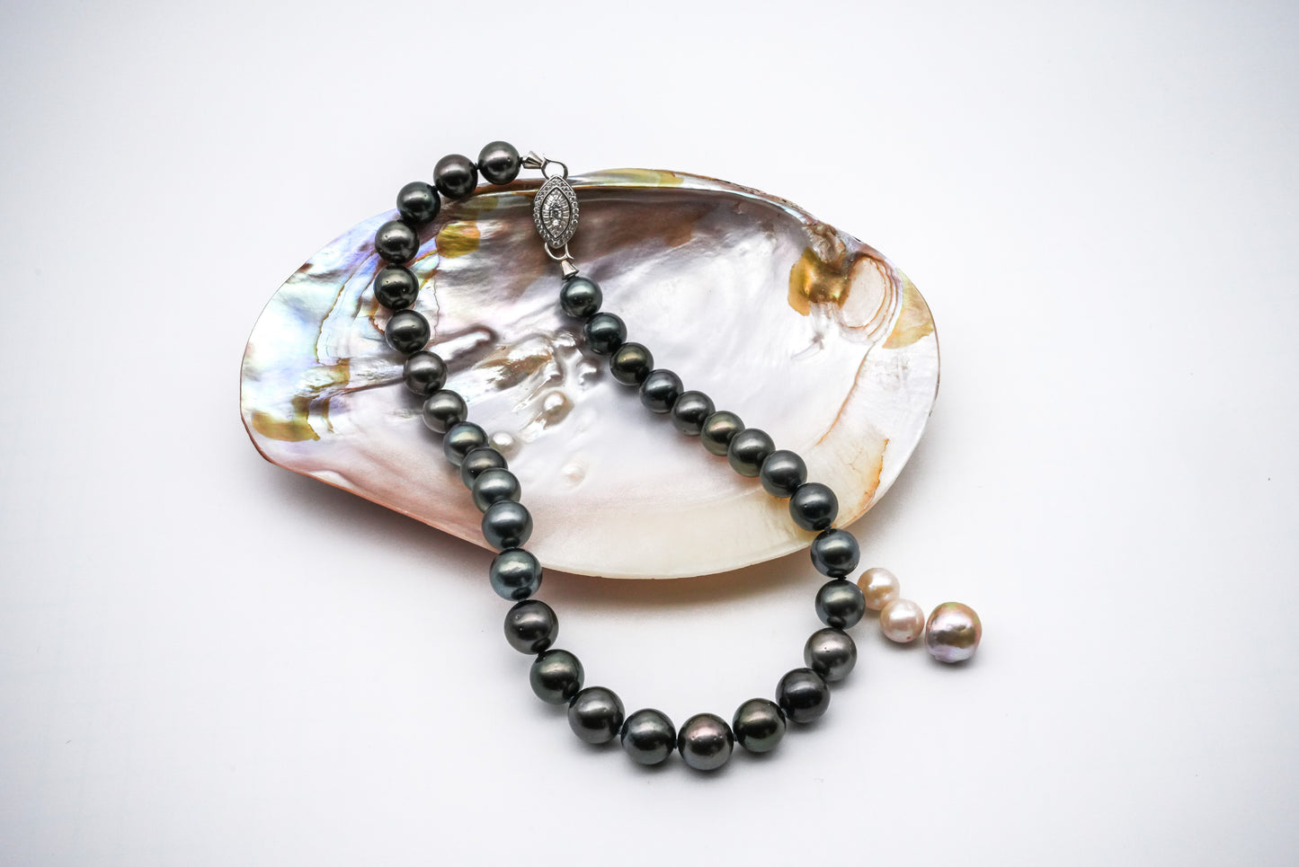 (JR-NL-0028) 黒蝶真珠 ネックレス ブラック 12.0mm～13.5mm