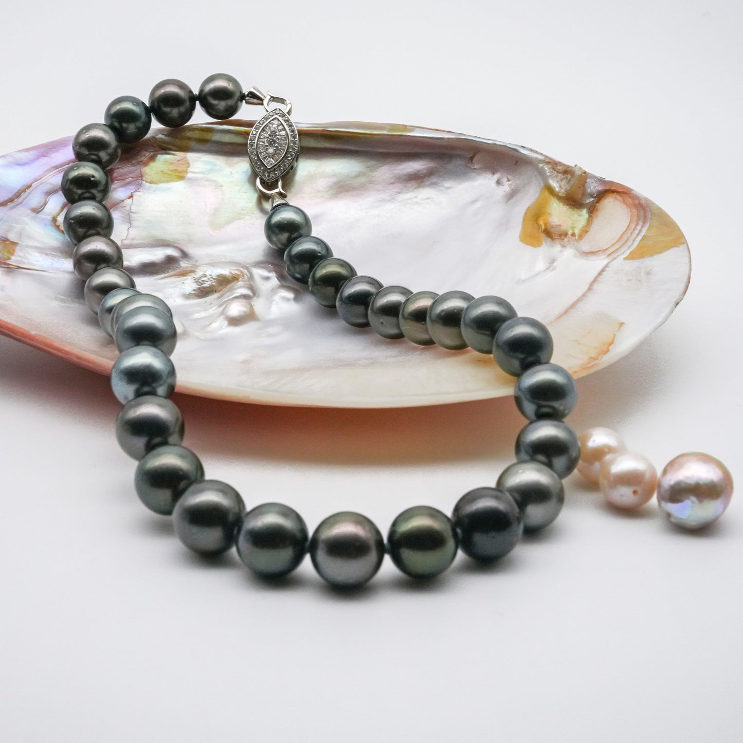 (JR-NL-0028) 黒蝶真珠 ネックレス ブラック 12.0mm～13.5mm