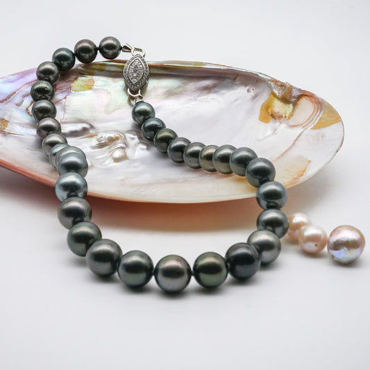 (JR-NL-0028) 黒蝶真珠 ネックレス ブラック 12.0mm～13.5mm