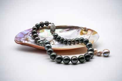 (JR-NL-0028) 黒蝶真珠 ネックレス ブラック 12.0mm～13.5mm