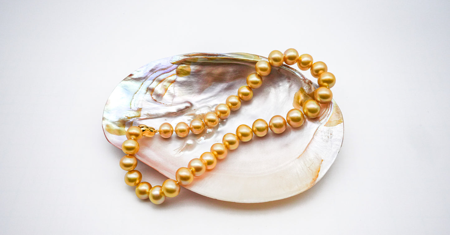 (JR-NL-0029) 白蝶真珠 ネックレス ゴールド 10.0mm～13.0mm