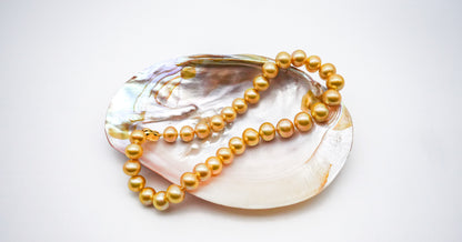 (JR-NL-0029) 白蝶真珠 ネックレス ゴールド 10.0mm～13.0mm