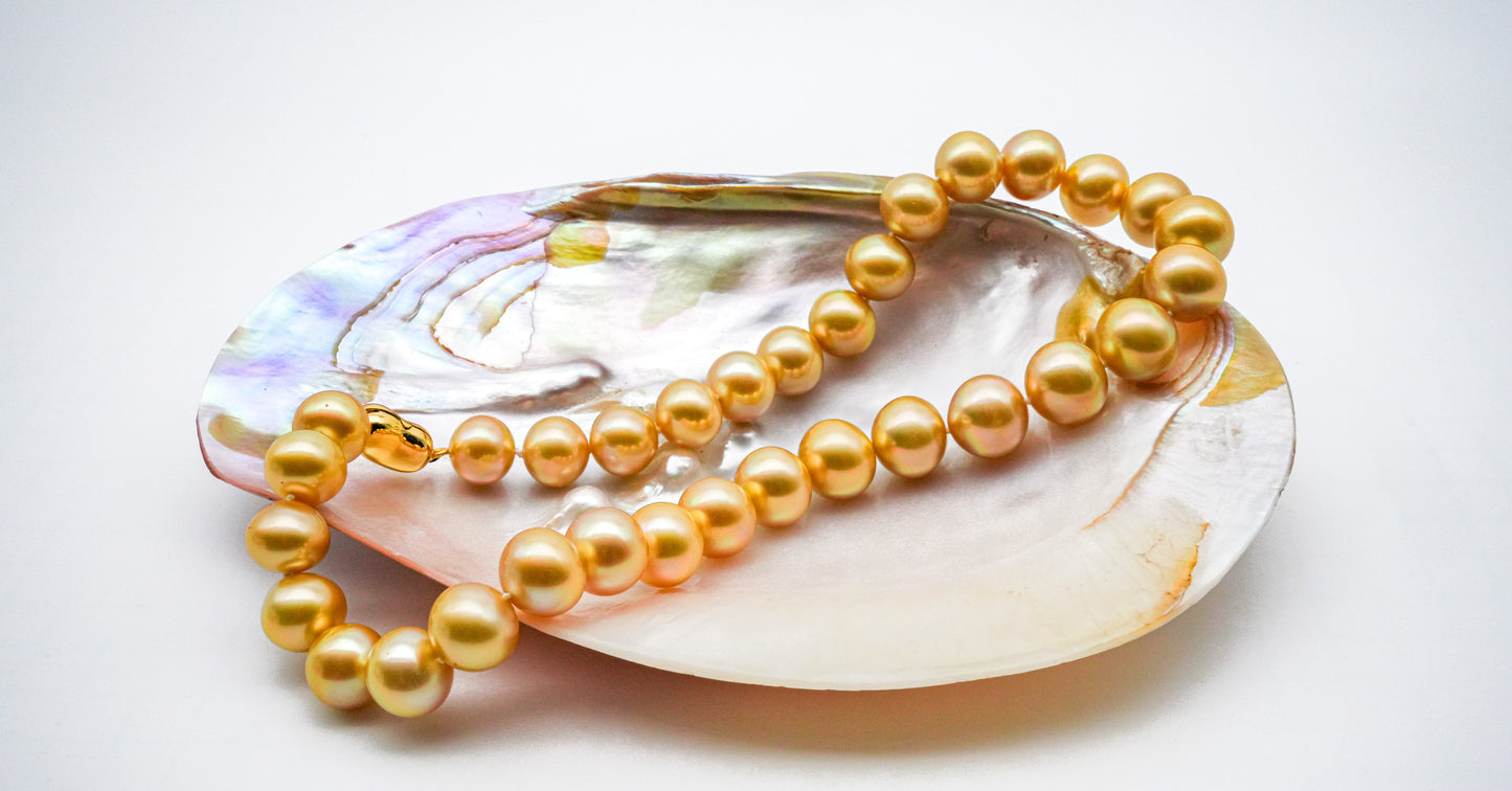 (JR-NL-0029) 白蝶真珠 ネックレス ゴールド 10.0mm～13.0mm