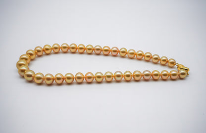 (JR-NL-0029) 白蝶真珠 ネックレス ゴールド 10.0mm～13.0mm