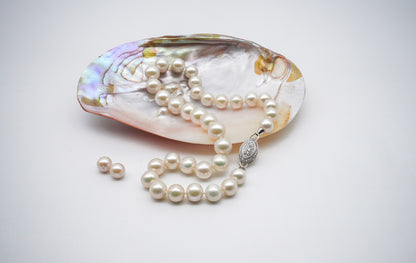 (JR-NL-0036) 白蝶真珠 ネックレス ホワイト 11.0mm～13.5mm