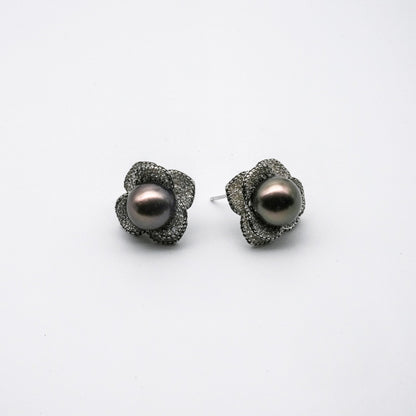 (JR-ER-0005) 黒蝶真珠 ピアス ブラック 10.0mm