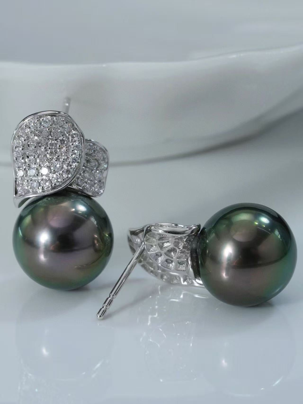 (JR-ER-0025) 黒蝶真珠 ピアス ブラック ピーコックグリーン 10.0mm～11.0mm