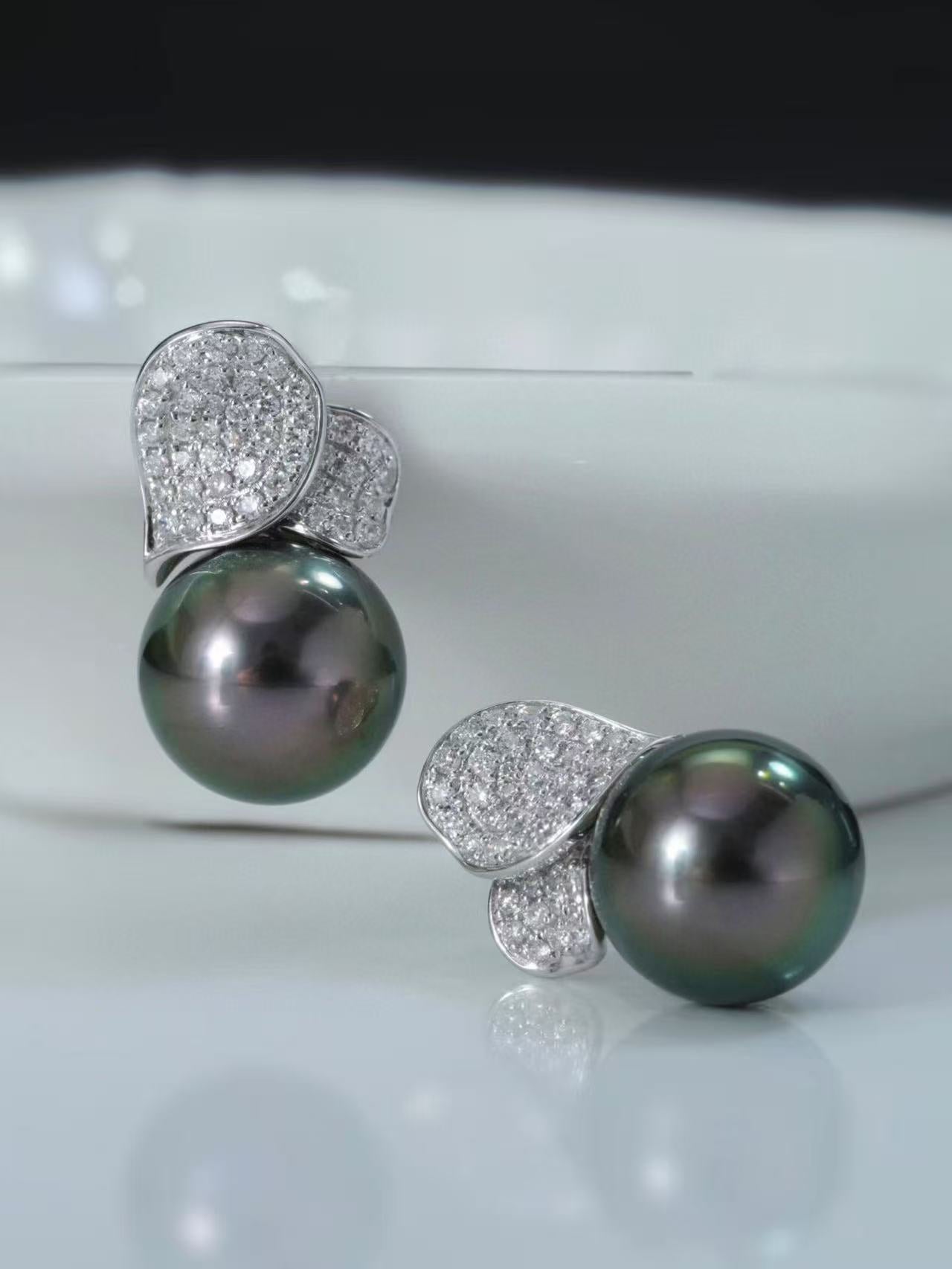 (JR-ER-0025) 黒蝶真珠 ピアス ブラック ピーコックグリーン 10.0mm～11.0mm