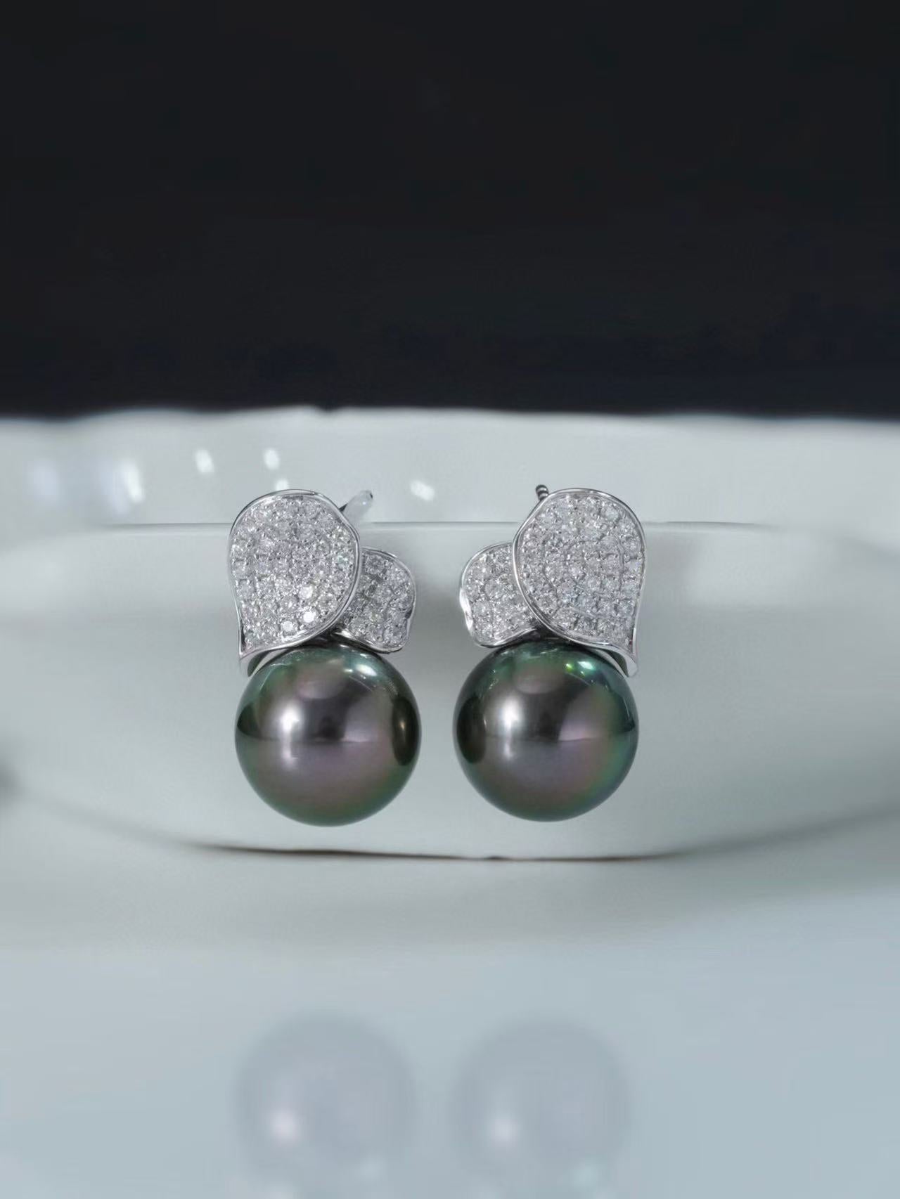(JR-ER-0025) 黒蝶真珠 ピアス ブラック ピーコックグリーン 10.0mm～11.0mm